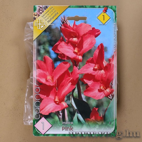 Kannavir�g / R�zsasz�n / 1db