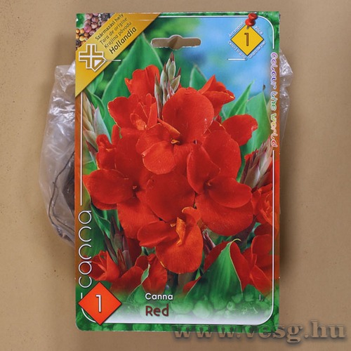 Kannavir�g / Piros / 1db