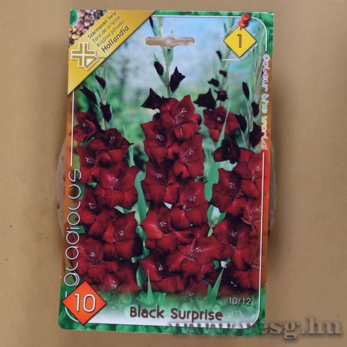 Kardvir�g - Black Surprise 10 db