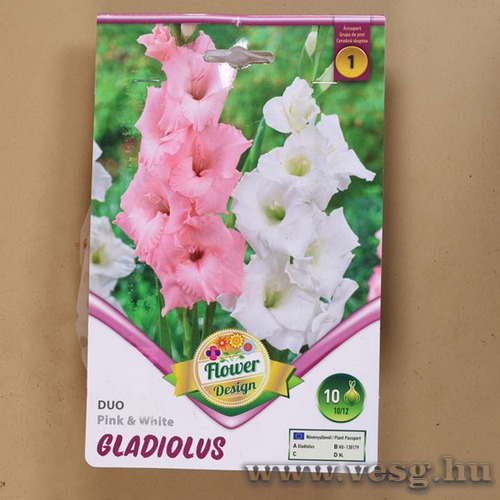 Kardvir�g - Duo - Pink And White 10 db