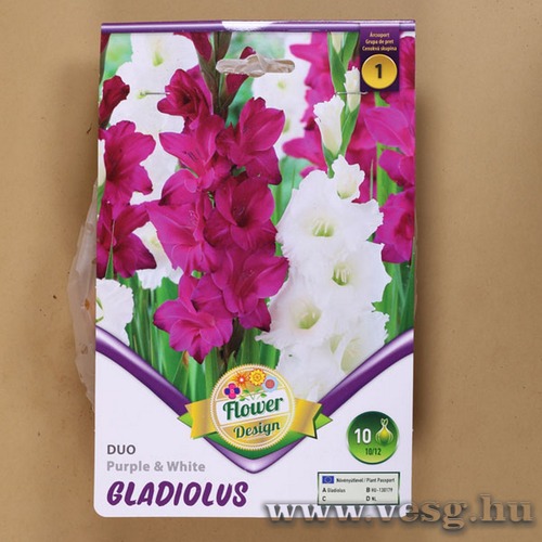 Kardvir�g - Duo - Purple And White 10 db