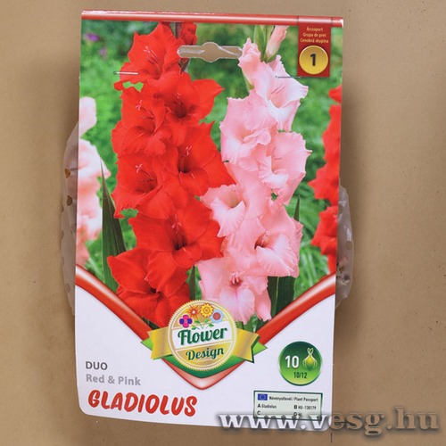 Kardvir�g - Duo - Red And Pink 10 db