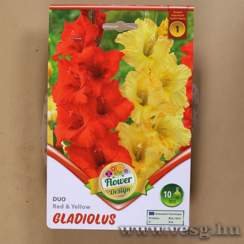 Kardvir�g - Duo - Red And Yellow 10 db