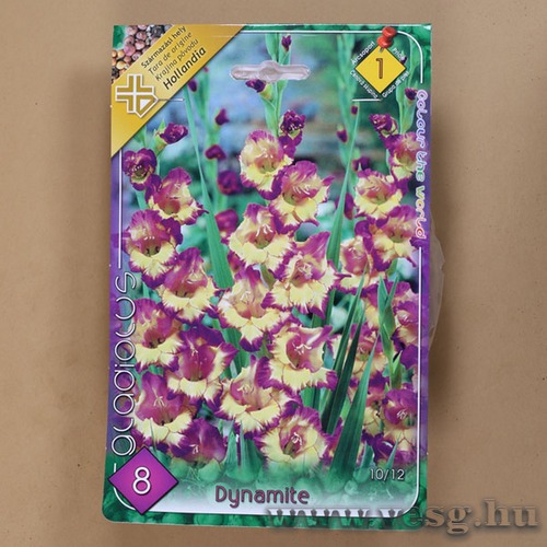 Kardvir�g - Dynamite 8 db