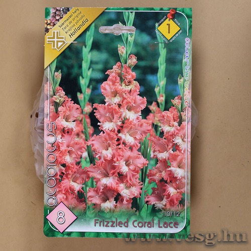 Kardvir�g / Frizzled Coral Lace / 8db