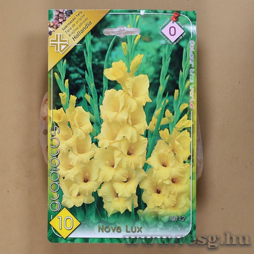 Kardvir�g - Nova Lux 10 db