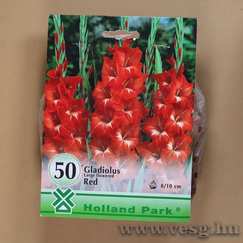 Kardvirg / Piros / 50db