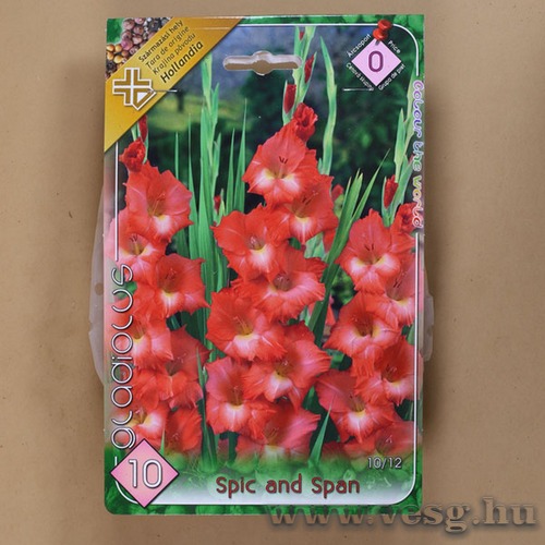 Kardvir�g - Spic and Span 10 db