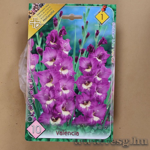 Kardvir�g / Valencia / 10db