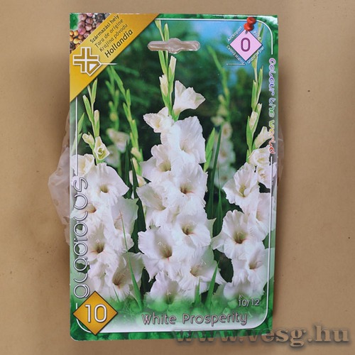Kardvir�g - White Prosperity 10 db