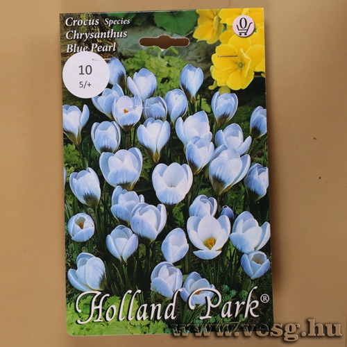 Kr�kusz - Blue Pearl 10 db