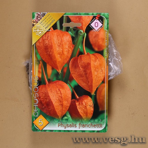 Lampionvir�g 5db