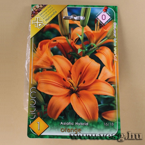 Liliom - �zsiai - Orange 1 db