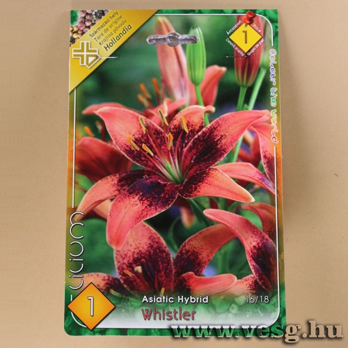 Liliom - �zsiai - Whistler 1 db