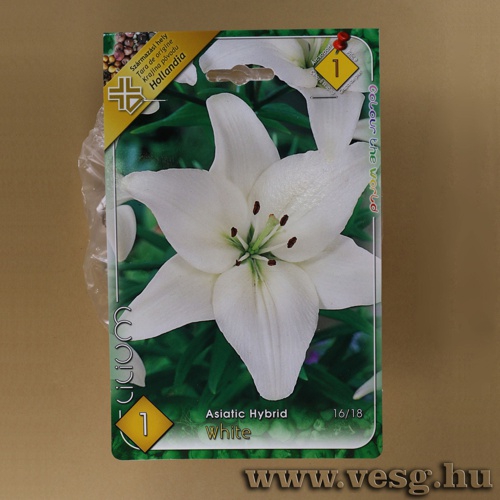 Liliom - �zsiai - White 1 db