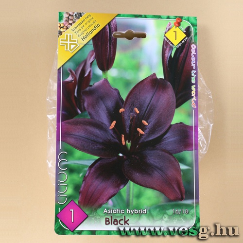 Liliom - zsiai - Black 1 db