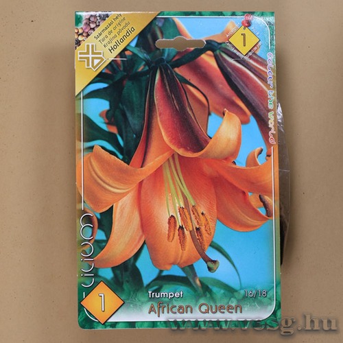 Liliom Trombit�s / African Queen / 1db