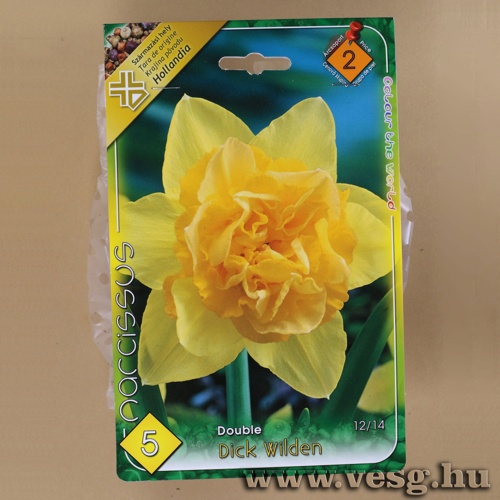 N�rcisz - Dick Wilden 5 db