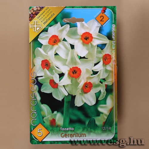 N�rcisz - Geranium 5 db