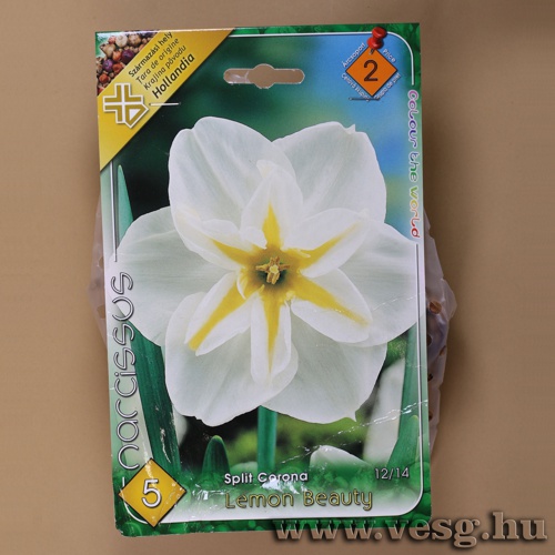 N�rcisz - Lemon Beauty 5 db