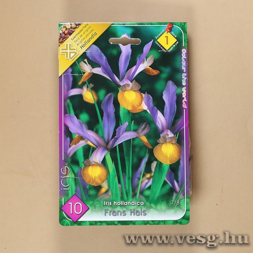 Nszirom - Frans Hals 10 db