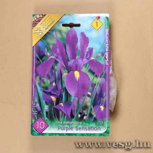 N�szirom - Purple Sensation 10 db