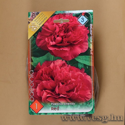 Pnksdirzsa / Piros / 1db