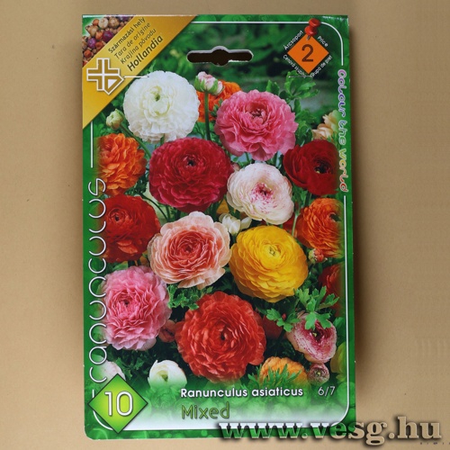 �zsiai Bogl�rka - Sz�nkever�k 10 db