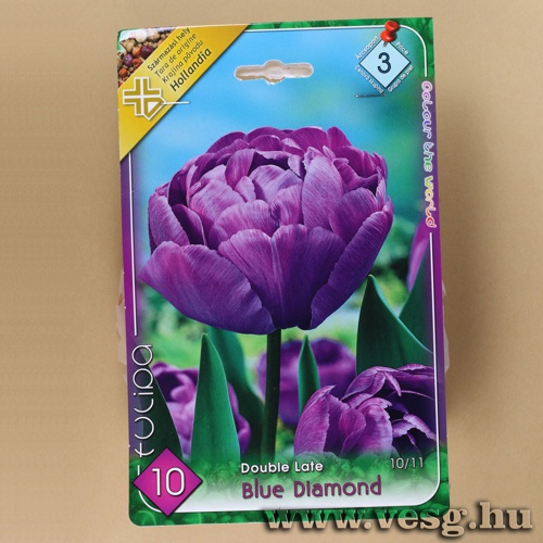 Tulipn - Blue Diamond 10 db