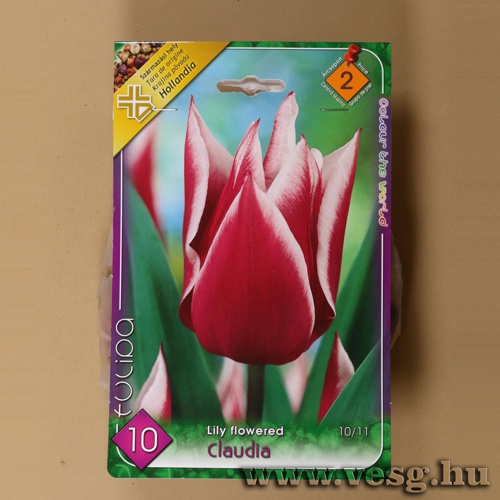 Tulip�n - Claudia 6 db