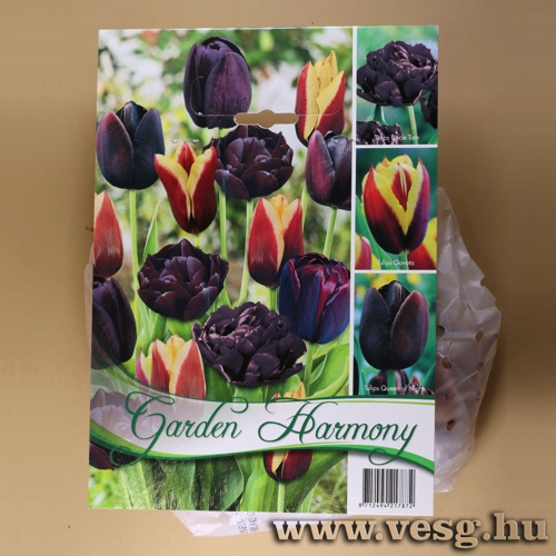 Tulip�n Kollekci� - Black and Red 3 x 5 db