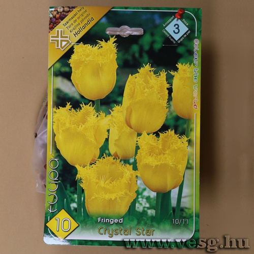 Tulip�n - Crystal Star 8 db