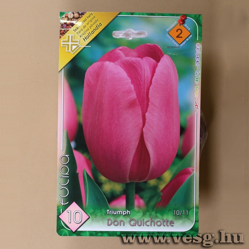 Tulip�n - Don Quichotte 6 db