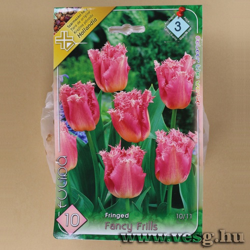 Tulip�n - Fancy Frills 8 db