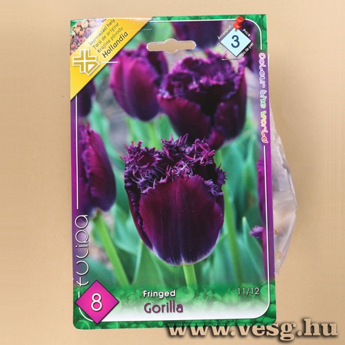 Tulip�n - Gorilla 6 db