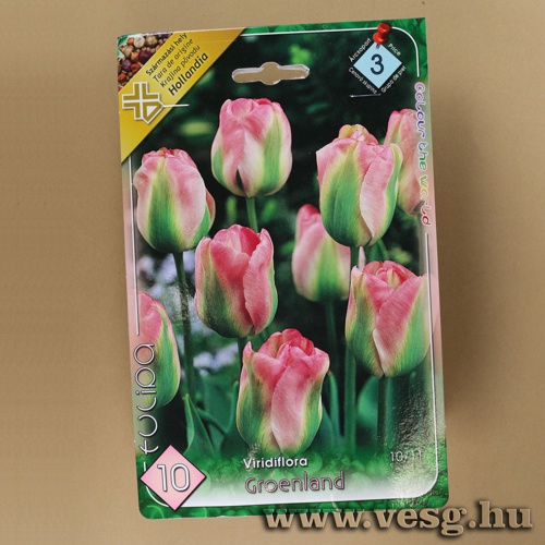 Tulip�n - Groenland 7 db