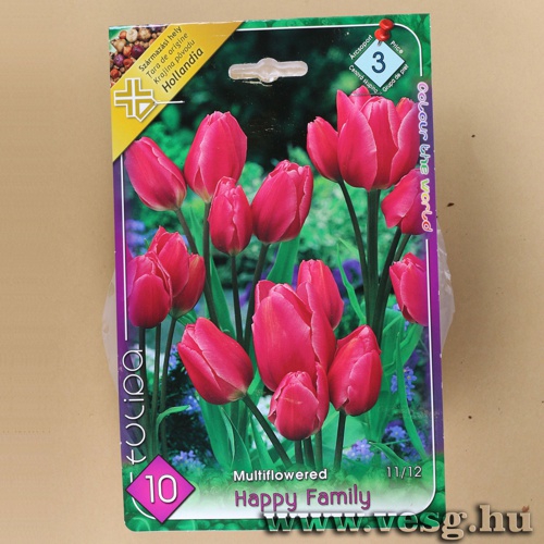 Tulip�n - Happy Family 8 db