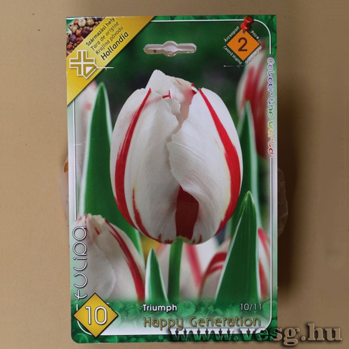 Tulip�n - Happy Generation 6 db