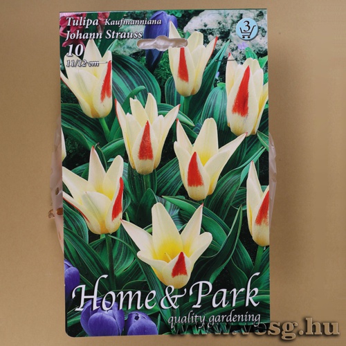 Tulip�n - Johann Strauss 10 db