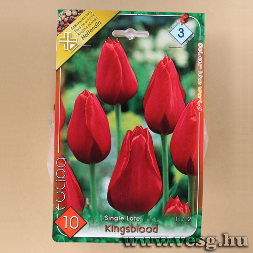 Tulip�n - Kingsblood 7 db