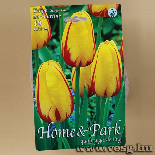 Tulip�n - La Courtine 7 db