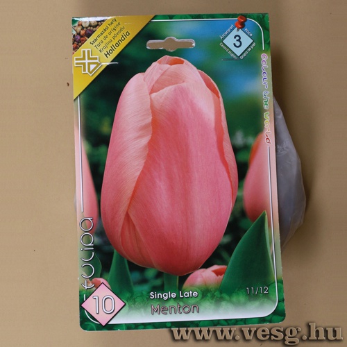 Tulip�n - Menton 7 db