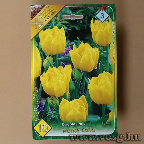 Tulip�n - Monte Carlo 10 db