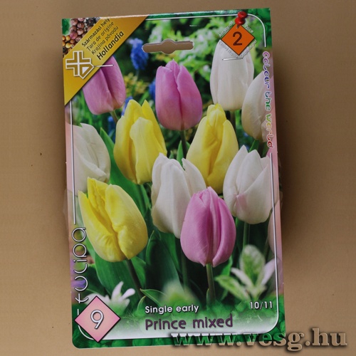 Tulip�n - Prince - Sz�nkever�k 9 db