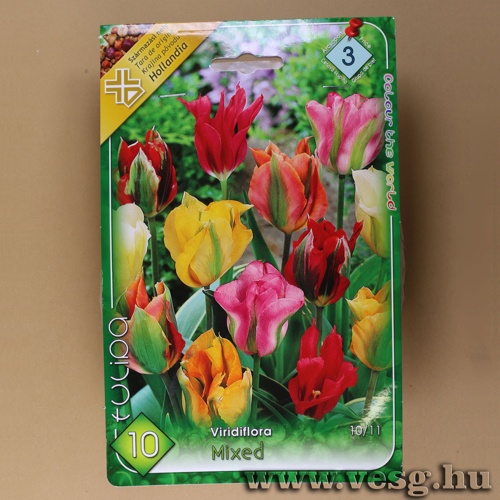 Tulip�n - Viridiflora - Sz�nkever�k 8 db