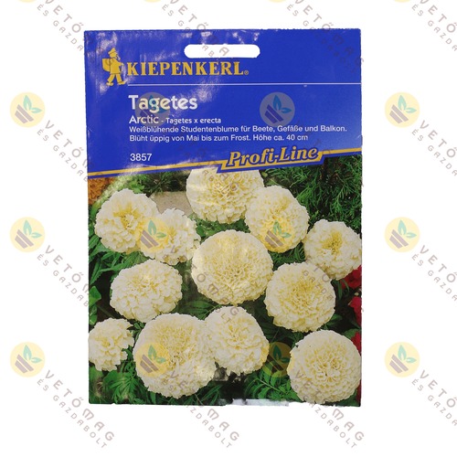 B�rsonyvir�g / Artic / 1 csomag