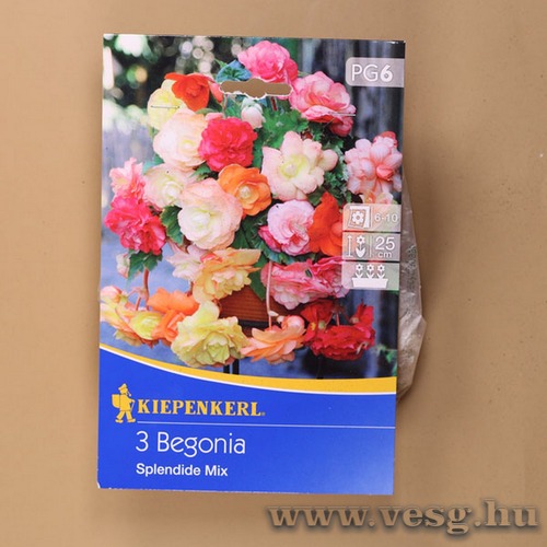 Begnia / Splendide Mix / 3db