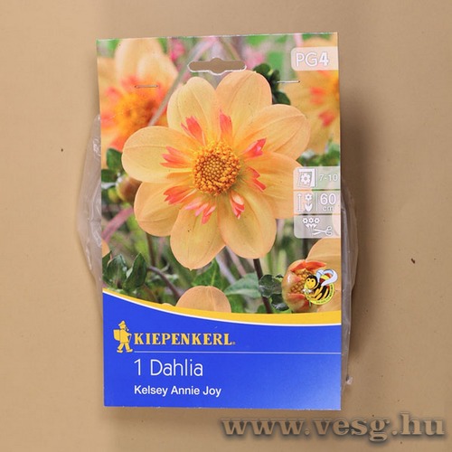 Dlia / Kelsey Annie Joy / 1db