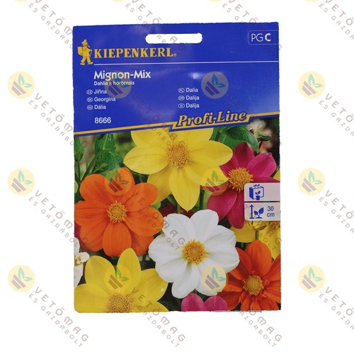 Dália / Mignon - Színkeverék / 1 csomag