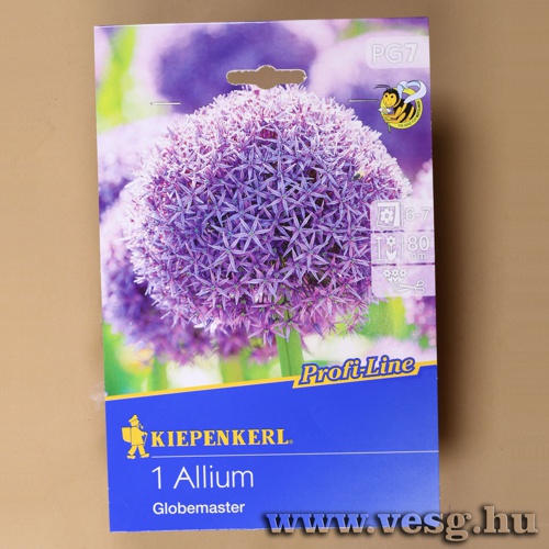 D�szhagyma /Globemaster/ 1db